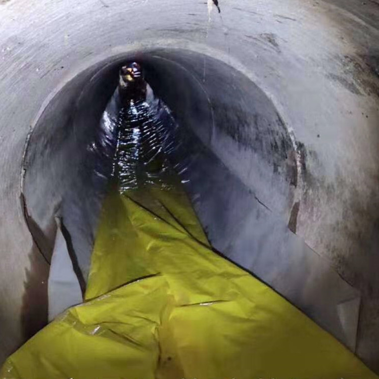 兴化管道光固化修复